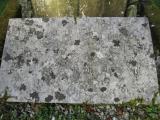 image of grave number 631855